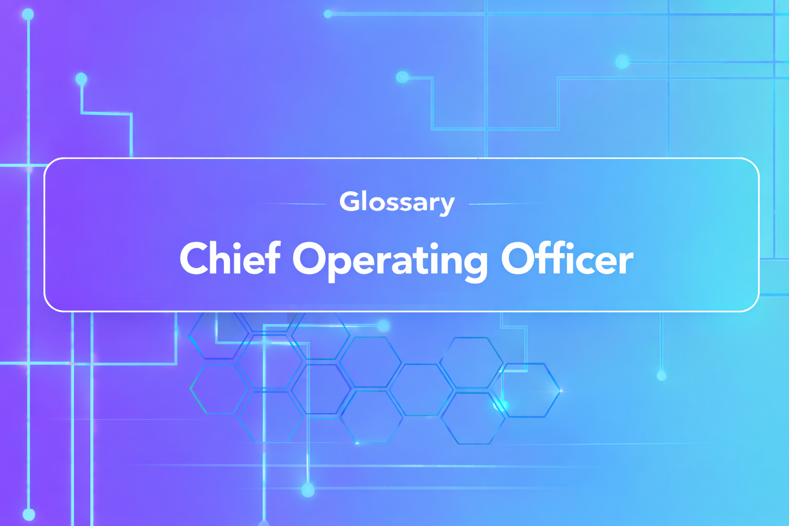 COO (Chief Operating Officer)