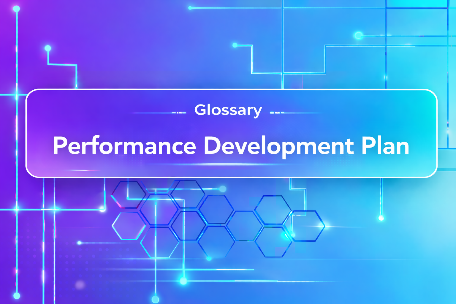 Performance Development Plan (PDP)