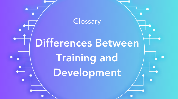 What are the Differences Between Training and Development?