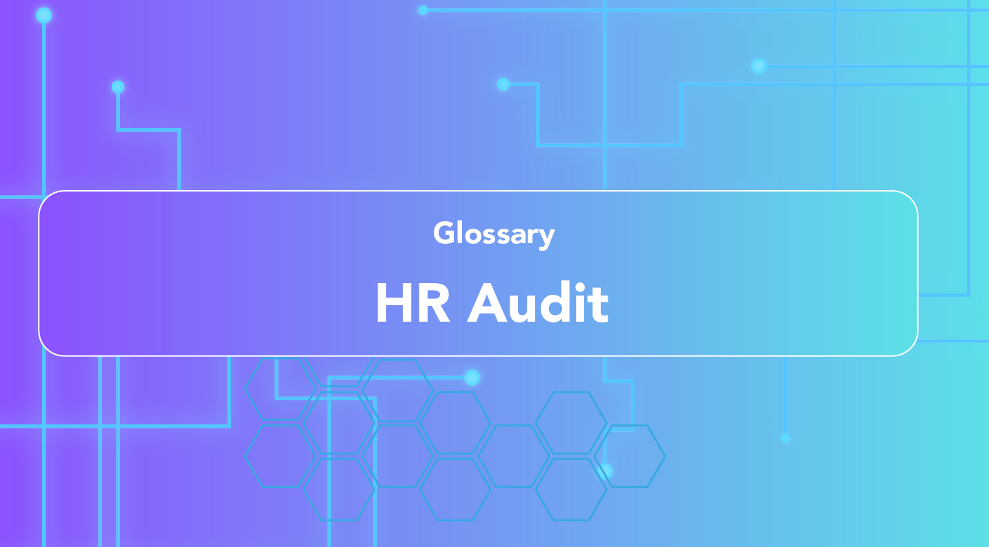 What is HR Audit?