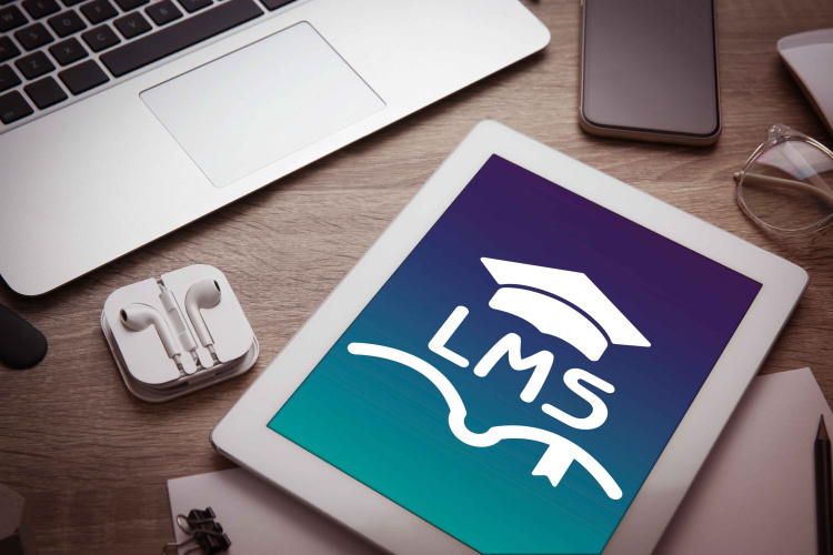 LMS Adoption Strategies: Key to Employee Development Success in 2024